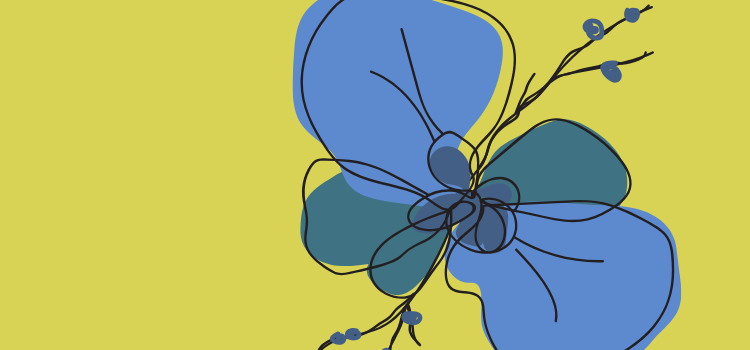 Bloom on yellow Bloom on yellow