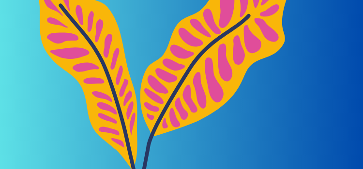 orange leaves on a blue background orange leaves on a blue background