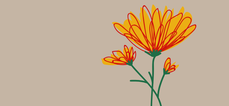 orang flower on taupe