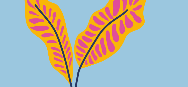 Orange leaves on sky blue Orange leaves on sky blue