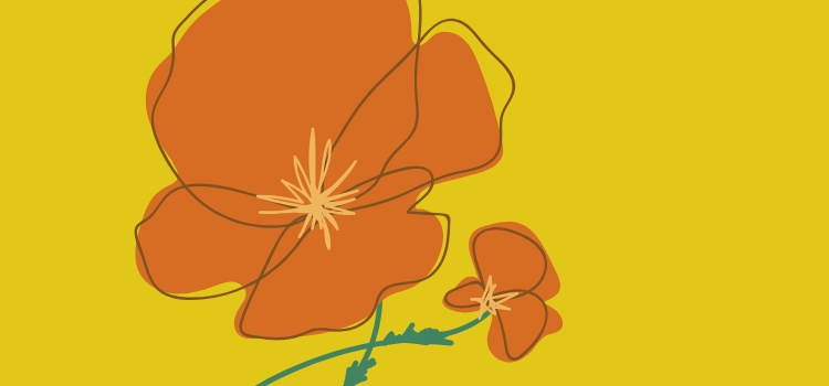 red flower on yellow