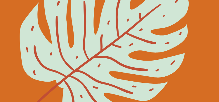 big leaf on orange