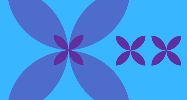 bows blue too bows blue too