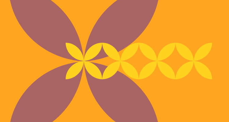 bows orange bows orange